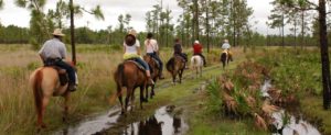 riding trails with horses