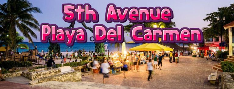 hotels on 5th avenue playa del carmen