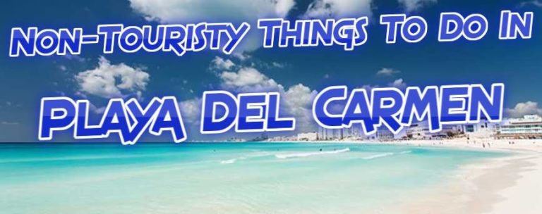 non touristy things to do in playa del carmen