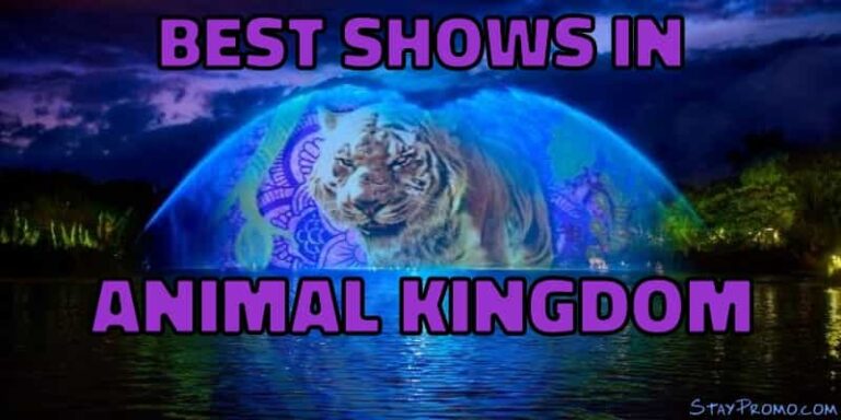 Top Live Shows At Animal Kingdom Orlando With Videos To Swoon Over